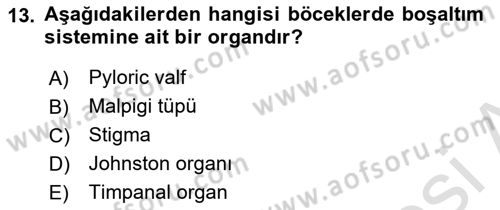 Entomoloji Dersi Ara Sınavı Deneme Sınav Soruları 13. Soru