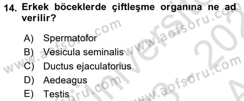 Entomoloji Dersi Ara Sınavı Deneme Sınav Soruları 14. Soru
