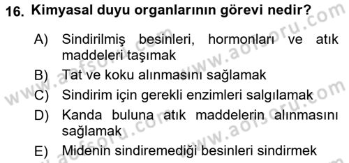 Entomoloji Dersi 2023 - 2024 Yılı (Vize) Ara Sınav Soruları 16. Soru