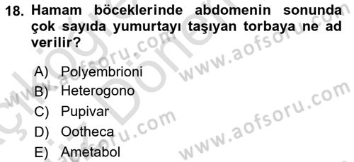 Entomoloji Dersi 2023 - 2024 Yılı (Vize) Ara Sınav Soruları 18. Soru