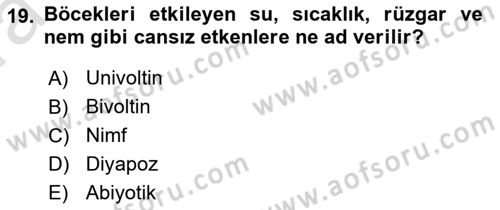 Entomoloji Dersi Ara Sınavı Deneme Sınav Soruları 19. Soru