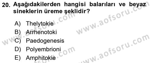 Entomoloji Dersi Ara Sınavı Deneme Sınav Soruları 20. Soru