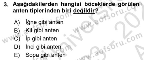 Entomoloji Dersi 2023 - 2024 Yılı (Vize) Ara Sınav Soruları 3. Soru