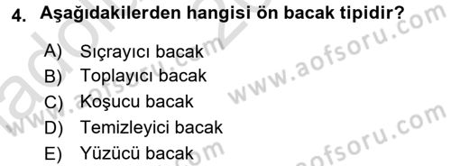 Entomoloji Dersi 2023 - 2024 Yılı (Vize) Ara Sınav Soruları 4. Soru
