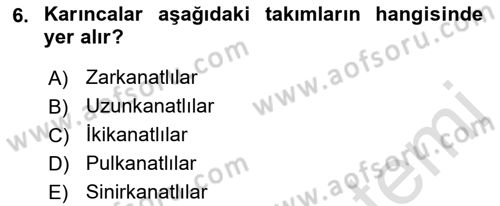 Entomoloji Dersi Ara Sınavı Deneme Sınav Soruları 6. Soru