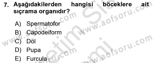 Entomoloji Dersi 2023 - 2024 Yılı (Vize) Ara Sınav Soruları 7. Soru