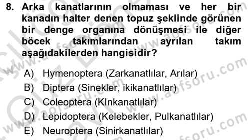 Entomoloji Dersi Ara Sınavı Deneme Sınav Soruları 8. Soru