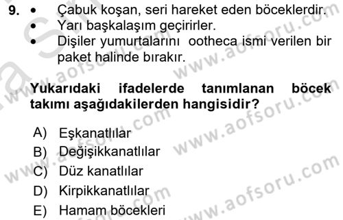Entomoloji Dersi Ara Sınavı Deneme Sınav Soruları 9. Soru
