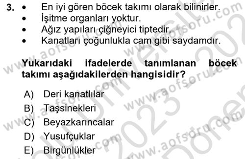 Entomoloji Dersi 2023 - 2024 Yılı (Final) Dönem Sonu Sınav Soruları 3. Soru
