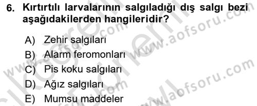 Entomoloji Dersi 2023 - 2024 Yılı (Final) Dönem Sonu Sınav Soruları 6. Soru