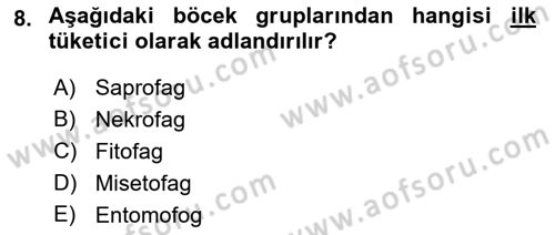 Entomoloji Dersi 2023 - 2024 Yılı (Final) Dönem Sonu Sınav Soruları 8. Soru