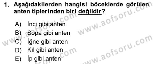 Entomoloji Dersi 2023 - 2024 Yılı Yaz Okulu Sınav Soruları 1. Soru