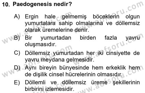 Entomoloji Dersi 2023 - 2024 Yılı Yaz Okulu Sınav Soruları 10. Soru