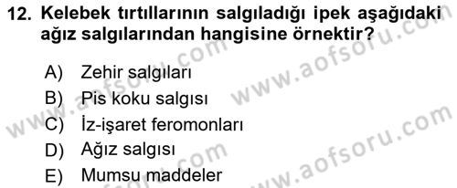 Entomoloji Dersi 2023 - 2024 Yılı Yaz Okulu Sınav Soruları 12. Soru