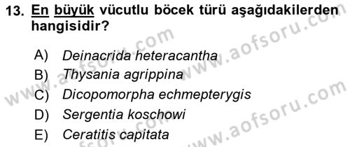 Entomoloji Dersi 2023 - 2024 Yılı Yaz Okulu Sınav Soruları 13. Soru