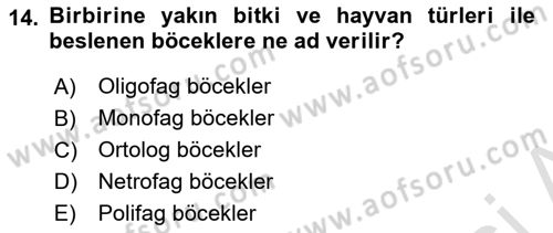 Entomoloji Dersi 2023 - 2024 Yılı Yaz Okulu Sınav Soruları 14. Soru