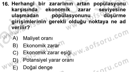 Entomoloji Dersi 2023 - 2024 Yılı Yaz Okulu Sınav Soruları 16. Soru