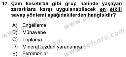 Entomoloji Dersi 2023 - 2024 Yılı Yaz Okulu Sınav Soruları 17. Soru