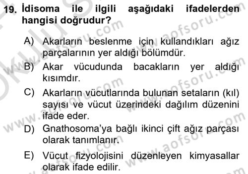 Entomoloji Dersi 2023 - 2024 Yılı Yaz Okulu Sınav Soruları 19. Soru