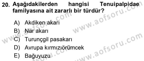 Entomoloji Dersi 2023 - 2024 Yılı Yaz Okulu Sınav Soruları 20. Soru