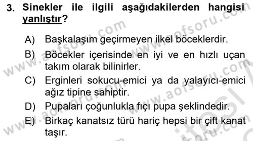 Entomoloji Dersi 2023 - 2024 Yılı Yaz Okulu Sınav Soruları 3. Soru