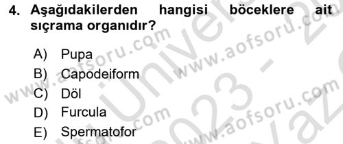 Entomoloji Dersi 2023 - 2024 Yılı Yaz Okulu Sınav Soruları 4. Soru