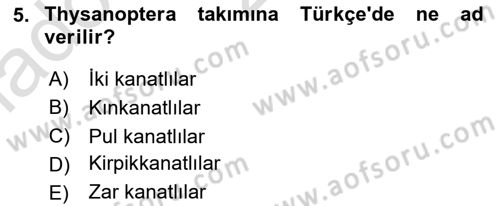 Entomoloji Dersi 2023 - 2024 Yılı Yaz Okulu Sınav Soruları 5. Soru