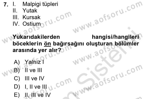 Entomoloji Dersi 2023 - 2024 Yılı Yaz Okulu Sınav Soruları 7. Soru