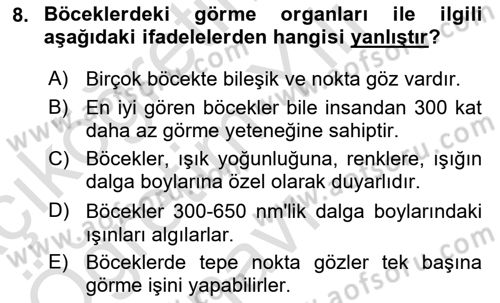 Entomoloji Dersi 2023 - 2024 Yılı Yaz Okulu Sınav Soruları 8. Soru
