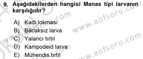 Entomoloji Dersi 2023 - 2024 Yılı Yaz Okulu Sınav Soruları 9. Soru