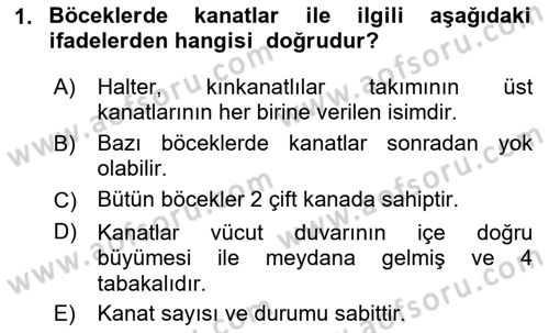 Entomoloji Dersi 2024 - 2025 Yılı (Vize) Ara Sınav Soruları 1. Soru