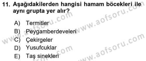 Entomoloji Dersi Ara Sınavı Deneme Sınav Soruları 11. Soru