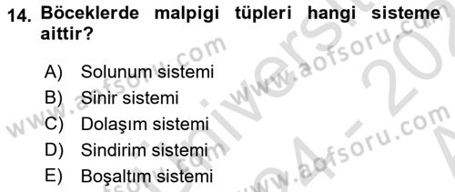 Entomoloji Dersi Ara Sınavı Deneme Sınav Soruları 14. Soru