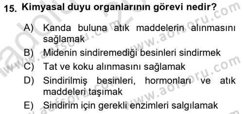 Entomoloji Dersi 2024 - 2025 Yılı (Vize) Ara Sınav Soruları 15. Soru