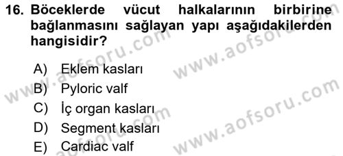 Entomoloji Dersi Ara Sınavı Deneme Sınav Soruları 16. Soru