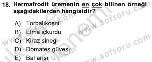 Entomoloji Dersi Ara Sınavı Deneme Sınav Soruları 18. Soru