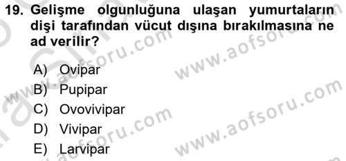 Entomoloji Dersi 2024 - 2025 Yılı (Vize) Ara Sınav Soruları 19. Soru