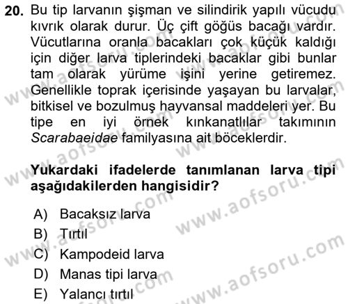 Entomoloji Dersi Ara Sınavı Deneme Sınav Soruları 20. Soru