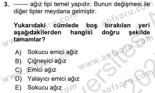 Entomoloji Dersi 2024 - 2025 Yılı (Vize) Ara Sınav Soruları 3. Soru