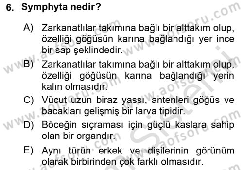 Entomoloji Dersi 2024 - 2025 Yılı (Vize) Ara Sınav Soruları 6. Soru