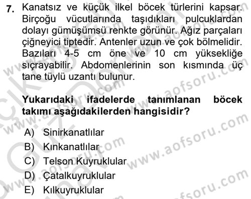 Entomoloji Dersi 2024 - 2025 Yılı (Vize) Ara Sınav Soruları 7. Soru