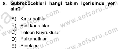 Entomoloji Dersi 2024 - 2025 Yılı (Vize) Ara Sınav Soruları 8. Soru