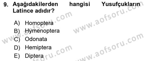 Entomoloji Dersi Ara Sınavı Deneme Sınav Soruları 9. Soru