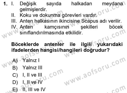 Entomoloji Dersi 2024 - 2025 Yılı (Final) Dönem Sonu Sınav Soruları 1. Soru
