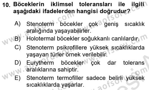 Entomoloji Dersi 2024 - 2025 Yılı (Final) Dönem Sonu Sınav Soruları 10. Soru