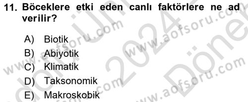 Entomoloji Dersi 2024 - 2025 Yılı (Final) Dönem Sonu Sınav Soruları 11. Soru