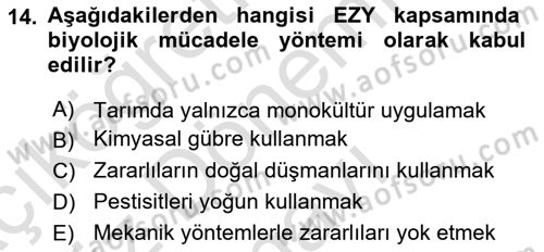 Entomoloji Dersi 2024 - 2025 Yılı (Final) Dönem Sonu Sınav Soruları 14. Soru