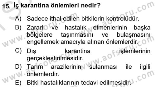 Entomoloji Dersi 2024 - 2025 Yılı (Final) Dönem Sonu Sınav Soruları 15. Soru