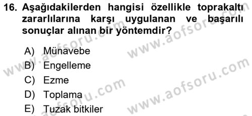 Entomoloji Dersi 2024 - 2025 Yılı (Final) Dönem Sonu Sınav Soruları 16. Soru