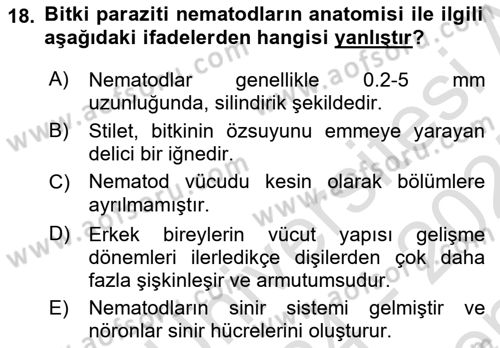 Entomoloji Dersi 2024 - 2025 Yılı (Final) Dönem Sonu Sınav Soruları 18. Soru
